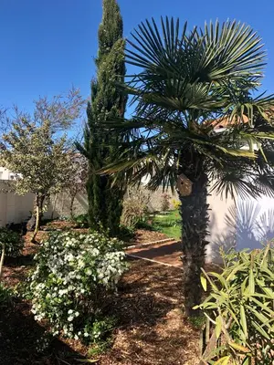 Jardin de l'établissement LE RENDEZ VOUS DES VACANCES