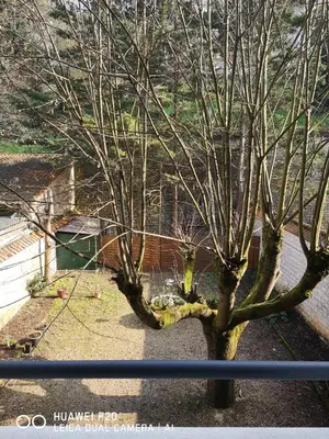 Plan de l'établissement Hôtel Le Memphis