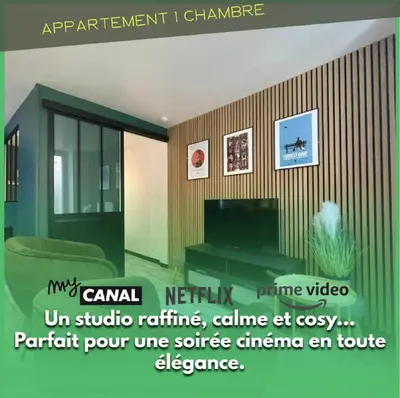 Télévision ou salle de divertissement dans l'établissement Les Appartements du Pont Joubert