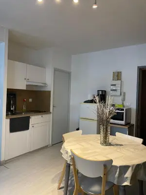 Cuisine ou kitchenette dans l'établissement Studio La source