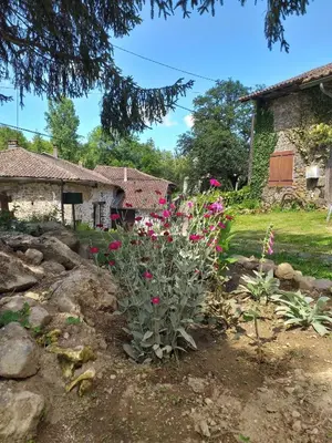 Jardin de l'établissement Gîte Moulin de Ludièras