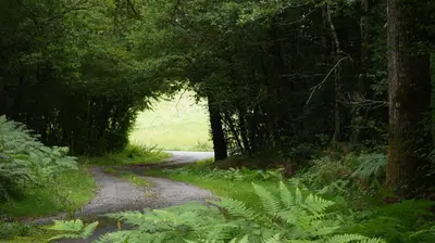 Paysage naturel près de l'appartement