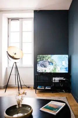Télévision ou salle de divertissement dans l'établissement L'intemporel/T2 lumineux rénové et équipé/centre ville