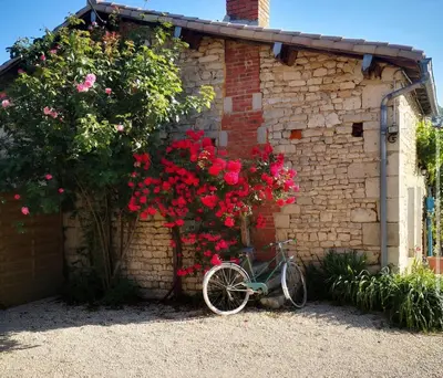 Vélo sur le terrain de l'établissement Chalet Nature & chiens de traîneaux ou dans les environs
