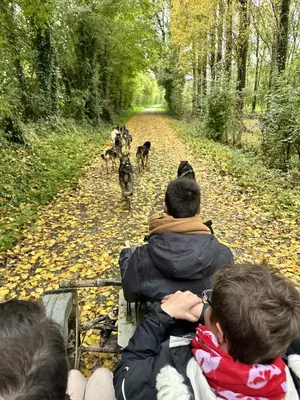 Clients de l'établissement Chalet Nature & chiens de traîneaux