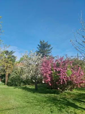 Jardin de l'établissement chambre d'hotes studio des tourterelles