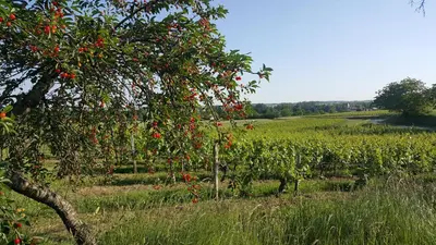 Paysage naturel près de la maison de vacances