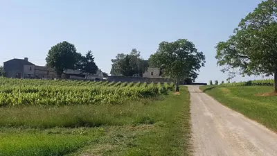 Paysage naturel près de la maison de vacances