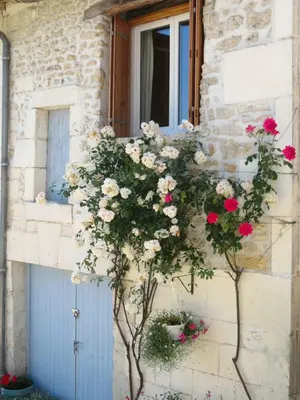 Plan de l'établissement La Maison du Bonheur