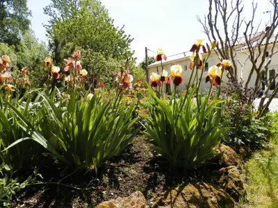 Jardin de l'établissement Au pré du Mignon aux portes du Marais Poitevin