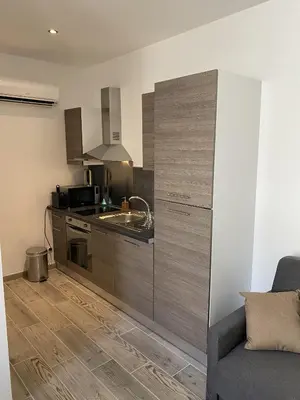Cuisine ou kitchenette dans l'établissement Studios Pellisson