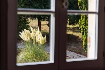 Jardin de l'établissement Domaine de Seugnac