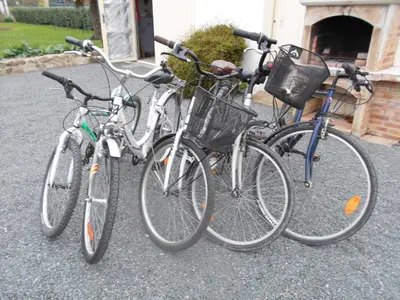 Vélo sur le terrain de l'établissement MARAIS POITEVIN bord rivière pêche ,barque, vélos, wifi, linge, cheminée, cuisine, terrain de boules ou dans les environs