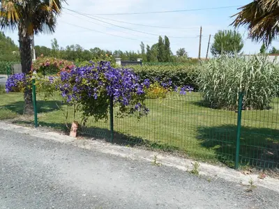 Jardin de l'établissement MARAIS POITEVIN bord rivière pêche ,barque, vélos, wifi, linge, cheminée, cuisine, terrain de boules