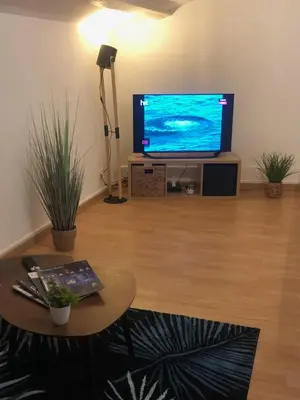 Télévision ou salle de divertissement dans l'établissement Le 41 Carnot