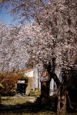 Jardin de l'établissement Chez Guilem