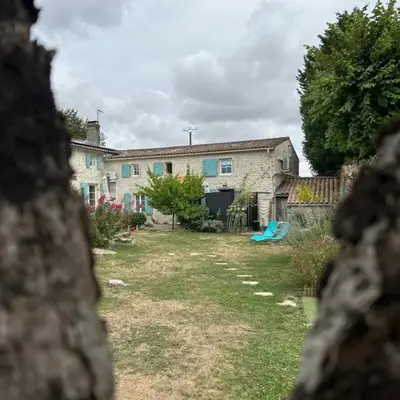 L Abricotier