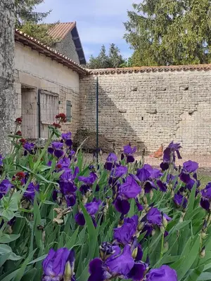 Jardin de l'établissement Chez Martine