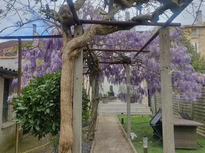 Jardin de l'établissement Logement sympas à Saintes