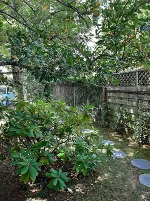 Jardin de l'établissement SAKURA