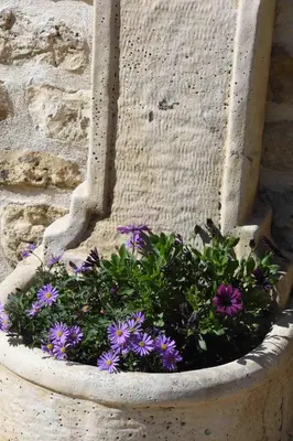 Jardin de l'établissement Le Moulin de Charzay, éco-gîte familial en Deux-Sèvres, Nouvelle Aquitaine