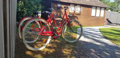 Vélo sur le terrain de l'établissement Cabane Unik ou dans les environs