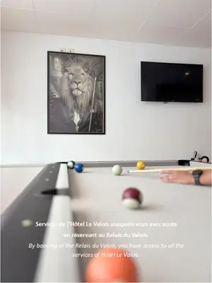 Télévision ou salle de divertissement dans l'établissement Le Relais du Valois, Cognac Centre