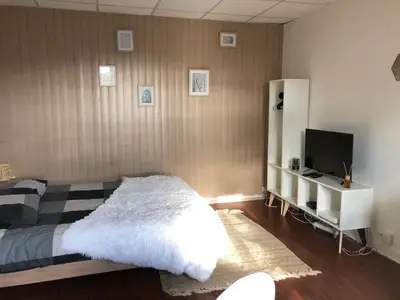 Télévision ou salle de divertissement dans l'établissement Le printemps de mélusine