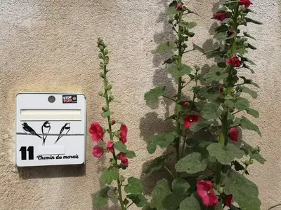 Plan de l'établissement La Teranga proche La Rochelle