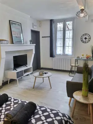 Télévision ou salle de divertissement dans l'établissement Studio ZEN Tout Confort Proche Hyper-Centre