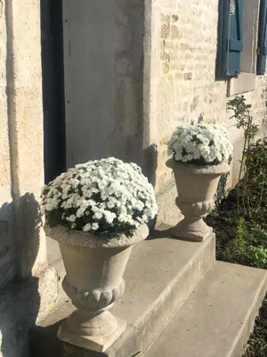 Jardin de l'établissement La Belle Epoque - Chambres d'hôtes & SPA