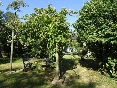 Jardin de l'établissement Moulin de Ringère