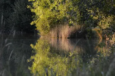 Paysage naturel près de le village vacances