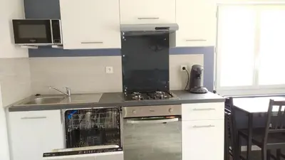 Cuisine ou kitchenette dans l'établissement Logements Le232Fr Futuroscope Poitiers
