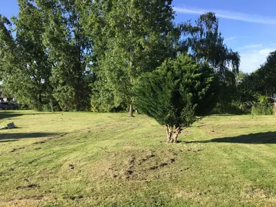 Jardin de l'établissement Numéro 96 chambre d hôtes