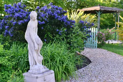 Jardin de l'établissement Chez Pique-Fesse Chambre d'hote