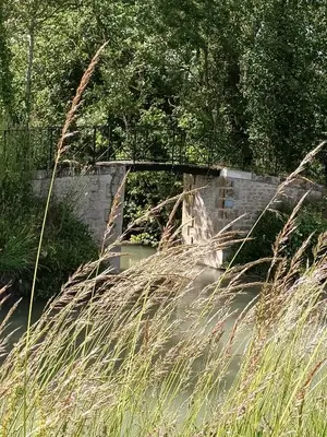 Paysage naturel près de la maison d'hôtes