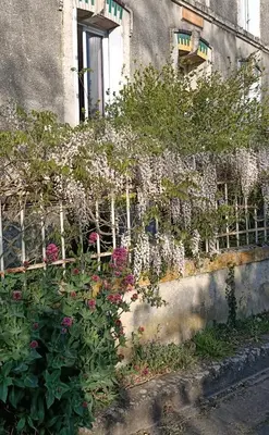 Jardin de l'établissement L'Angelique