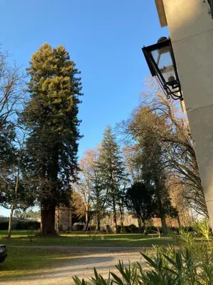 Jardin de l'établissement Château de Chasseneuil sur Bonnieure