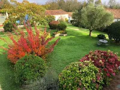 Jardin de l'établissement L'enclos bleu, gîte - marais poitevin avec piscine chauffée