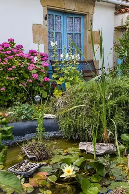 Jardin de l'établissement L'enclos bleu, gîte - marais poitevin avec piscine chauffée