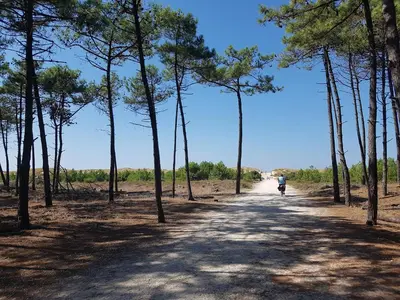 Paysage naturel près de la maison d'hôtes