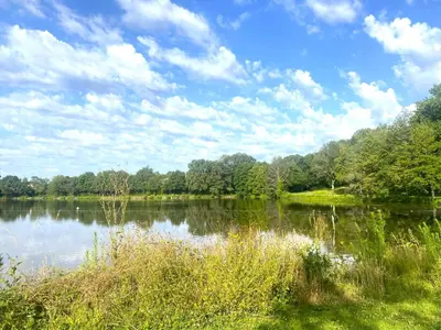 Paysage naturel près de le camping