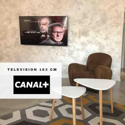 Télévision ou salle de divertissement dans l'établissement Villa Exceptionnelle Piscine et Jardin privé Séjour Haut de gamme proche La Rochelle