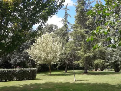 Jardin de l'établissement Logis de LANGE studio 2 p