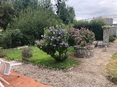 Jardin de l'établissement Chez FIRMIN 