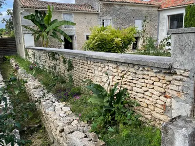 Jardin de l'établissement Le Maine N 5 - FLÉAC ANGOULEME - Suite Tilleul