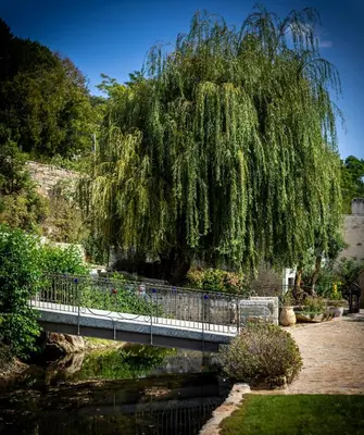 Jardin de l'établissement chambre d'hôtes le moulin d'âne niort