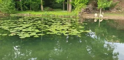 Paysage naturel près de le séjour chez l'habitant