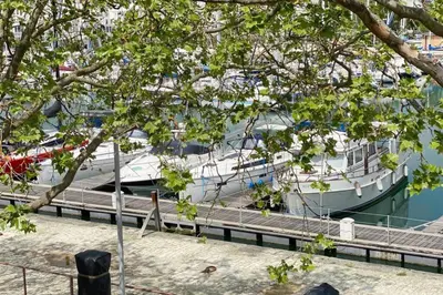 Vue sur la rivière ou le fleuve situé(e) à proximité de l'appartement